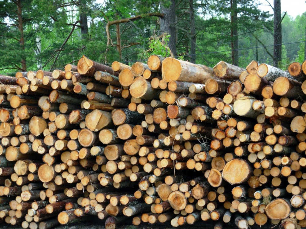 木材怎么防霉