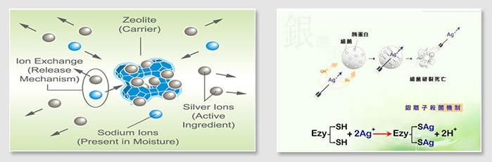 银离子抗菌原理图片