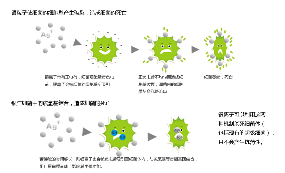 抗菌机理.jpg