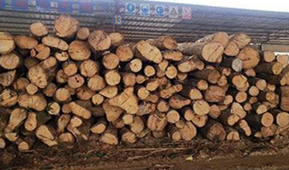 木材防霉,木材发霉,橡胶木