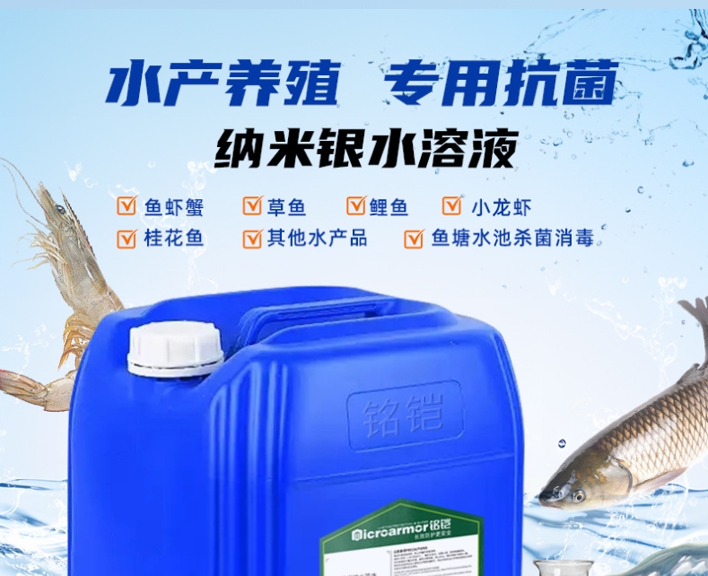 纳米银
